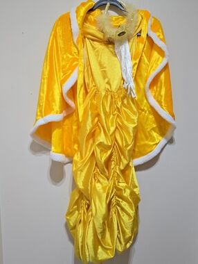 Belle Rubie's Kid's Costume. Cape, Dress, Crown & Gloves Set